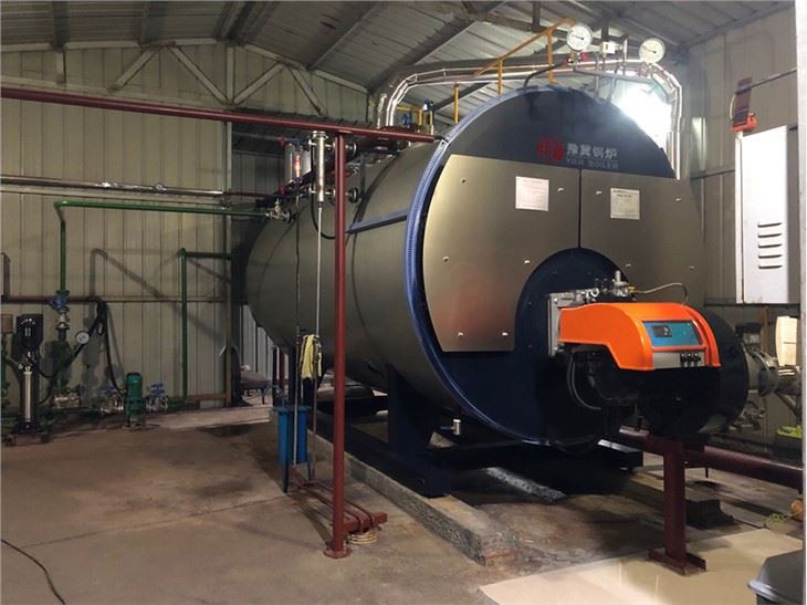 Wns Industrial Use Natural Gas Lpg Fired Steam Boiler